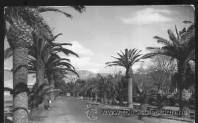 Postales: POSTAL DE ALMERIA - N&ordm; 1007 PASEO DE PALMERAS - PARQUE P-ANAL-093
