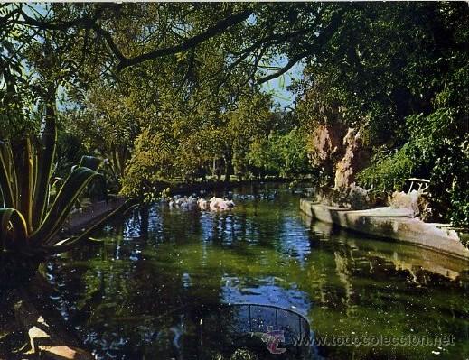 Postales: POSTAL DE CADIZ N&ordm; 67 - PARQUE GENOVES ESTANQUE    P-ANC-253