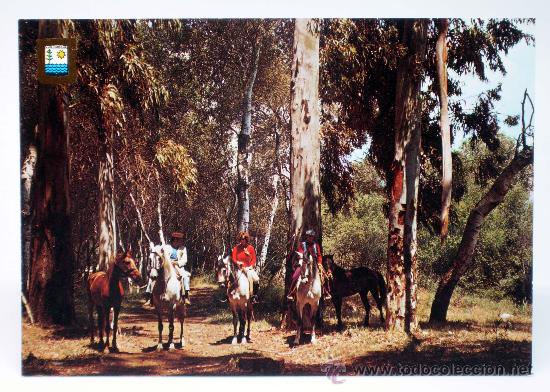Postales: Postal Costa del Sol T&iacute;pica excursi&oacute;n a caballo Ed Dom&iacute;nguez a&ntilde;os 70 sin circular