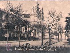 Postkarten: POSTAL ORIGINAL DECADA DE LOS 30. CADIZ. N&ordm; 790. VER TAMA&Ntilde;O Y EXPLICACION.