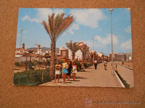 Postales: postal de malaga estepona  pseo maritimo - Foto 1