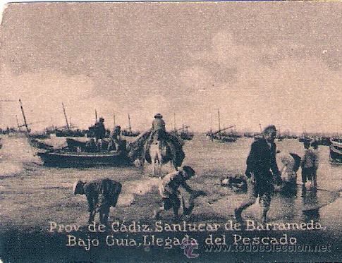 Postkarten: POSTAL ORIGINAL DECADA DE LOS 30. PROV. DE CADIZ. N&ordm; 808. VER TAMA&Ntilde;O Y EXPLICACION.