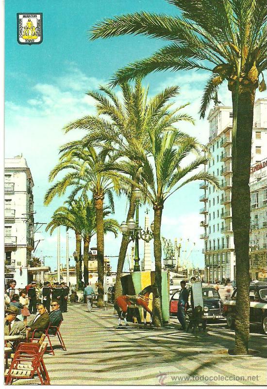 Postales: CADIZ N&ordm; 1113 PLAZA DE SAN JUAN DE DIOS A SUBIRATS CASANOVAS