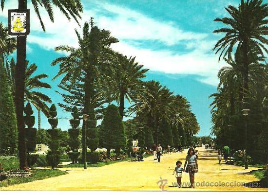 Postales: CADIZ PARQUE GENOVES N&ordm; 1127 A SUBIRATS CASANOVAS