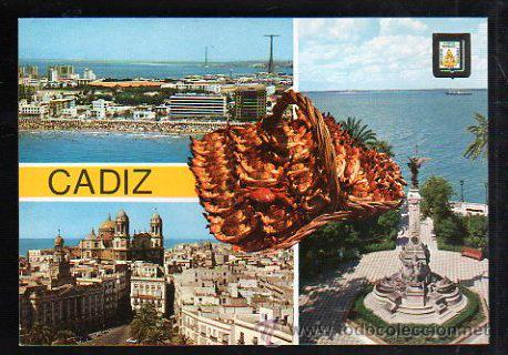 Cartes Postales: TARJETA POSTAL DE CADIZ - VARIOS ASPECTOS DE LA CIUDAD. EXFILANDALUS JUVENIL. MATASELLOS EN TARJETA
