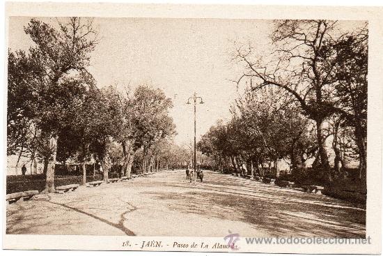 Postales: JAEN, PASEO DE LA ALAMEDA, L.ROISIN, SIN CIRCULAR