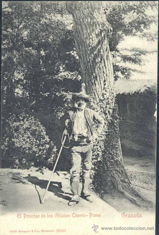 Postales: GRANADA.- EL PRINCIPE DE LOS GITANOS CHORRO-PUMO - Foto 1