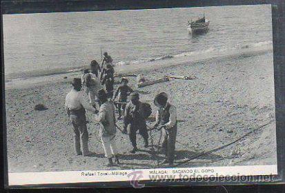 Postales: TARJETA POSTAL DE MALAGA - SACANDO EL COPO. RAFAEL TOVAL. HAUSER Y MENET