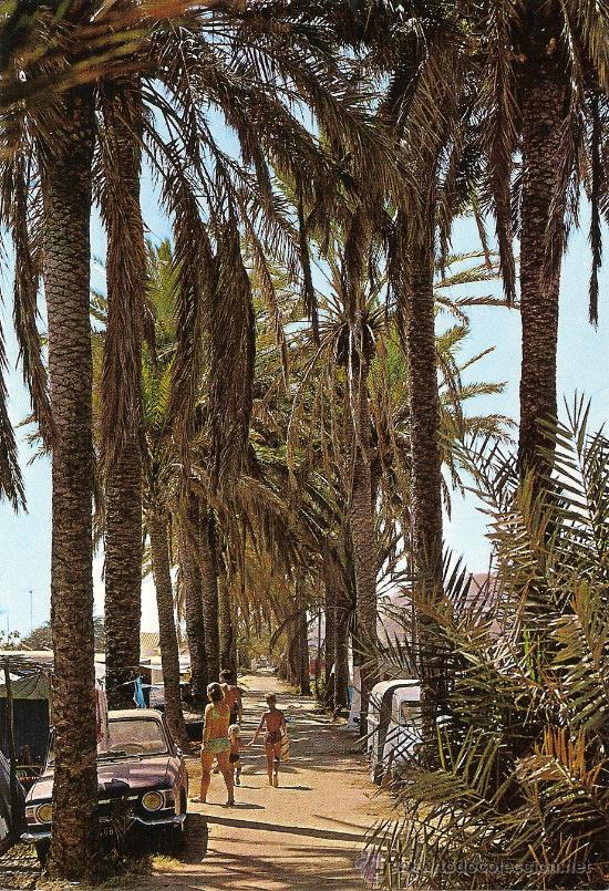 Postales: LA CALA DEL MORAL (MALAGA), CAMPING CALA DEL SOL - ED. BEASCOA - SIN CIRCULAR