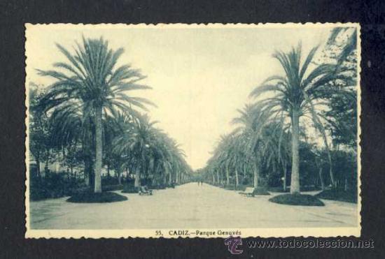Postcards: Postal de CADIZ: Parque Genoves (Roisin num. 55)