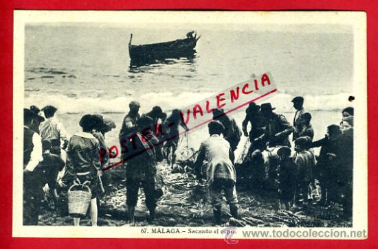 Postales: POSTAL MALAGA, SACANDO EL COPO,   P73137