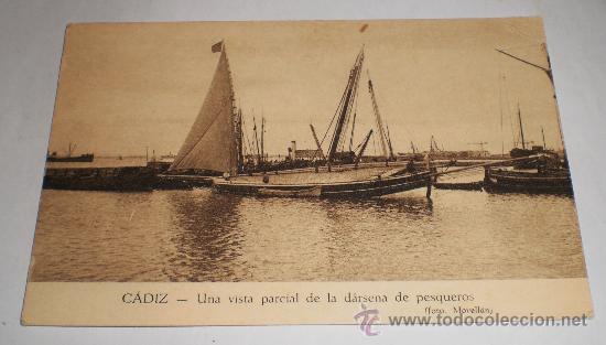 Postales: Postal Antigua &middot; D&aacute;rsena de Pesqueros &middot; C&aacute;diz &middot; Foto Movell&aacute;n &middot; ca. 1920-1940