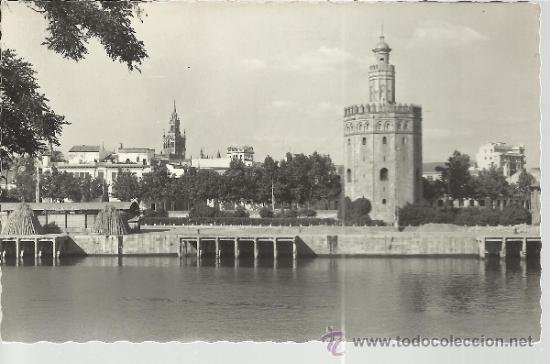 Postales: SEVILLA TORRE DEL ORO ESCRITA - Foto 1