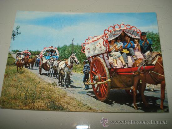 Postales: Antigua Tarjeta Postal de ANDALUCIA Romeria del Rocio . A&ntilde;o 1960-70s
