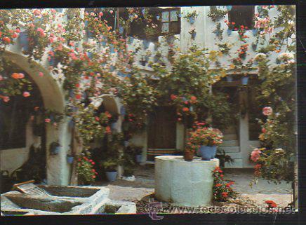 Postales: TARJETA POSTAL DE ESPA&Ntilde;A ES DIFERENTE - ANDALUCIA. POSTALES COSTA DEL SOL