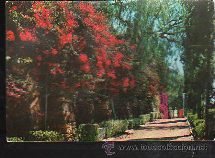 Postales: TARJETA POSTAL DE LA COSTA DEL SOL - JARDINES. 1092. BEASCOA