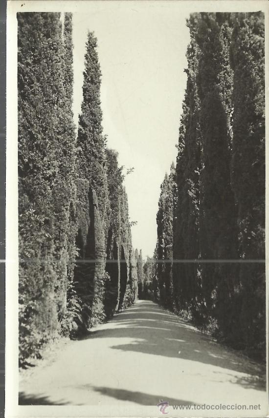 Postales: GRANADA ALHAMBRA  SIN ESCRIBIR - Foto 1