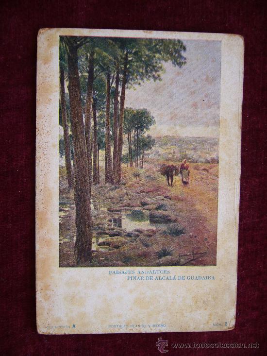 Postkarten: Postal Paisajes Andaluces. Pinar de Alcal&aacute; de Guadaira. Postales Blanco y Negro. Colecci&oacute;n A. N.2.