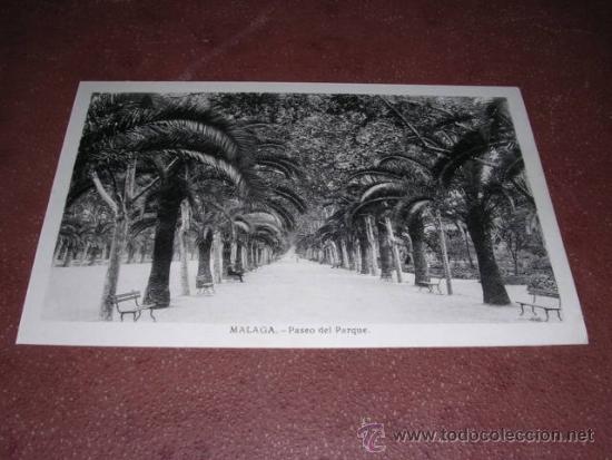 Postales: MALAGA - PASEO DEL PARQUE - L. ROISIN FOT. 14X9 CM.