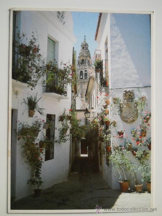 Postales: POSTAL DE CORDOBA  - CALLE DE LAS FLORES  - 18 CO POSTALES AL-ZAHRA SIN CIRCULAR