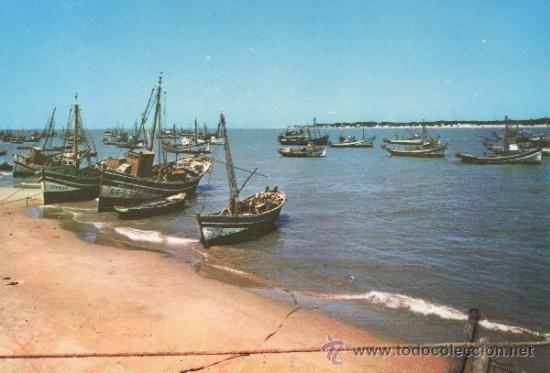 Postales: CADIZ - SANLUCAR DE BARRAMEDA - VISTA PARCIAL DE BAJO DE GUIA