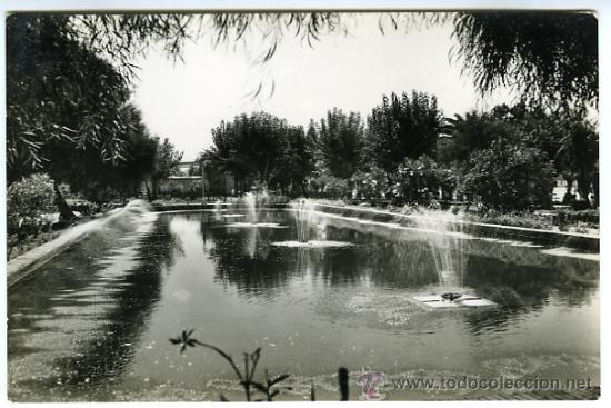 Postales: 1073. ALMER&Iacute;A. ESTANQUE DEL PARQUE. - Foto 1