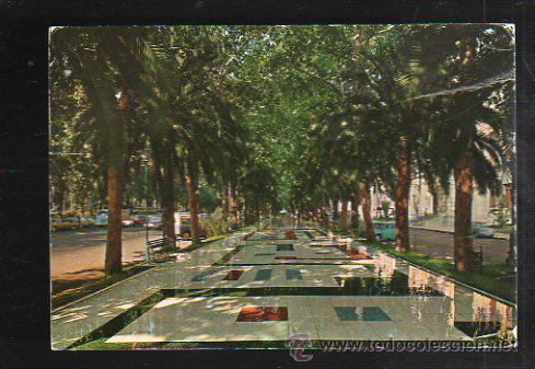 Cartes Postales: TARJETA POSTAL DE MALAGA - VISTA PARCIAL DEL PARQUE. 1750. POSTALES COSTA DEL SOL