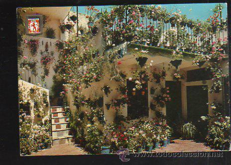 Postkarten: TARJETA POSTAL CORDOBA - PATIO CORDOBES. N&ordm; 804. SUBIRATS CASANOVAS