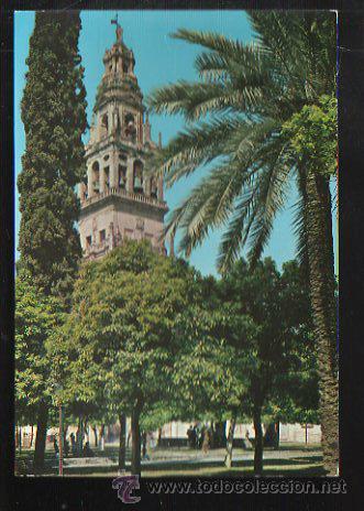 Postcards: TARJETA POSTAL CORDOBA - PATIO DE LOS NARANJOS Y TORRE DE LA CATEDRAL. 8. GARCIA GARRABELLA