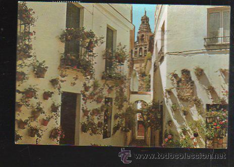 Postcards: TARJETA POSTAL CORDOBA - CALLE DE LAS FLORES. 117. COMERCIAL ORCE