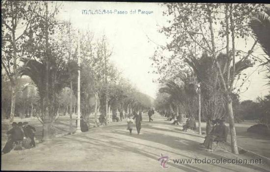 Postales: M&Aacute;LAGA.- PASEO DEL PARQUE