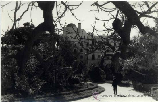 Postales: C&Aacute;DIZ.- FOTOGRAF&Iacute;A -MEDIDAS 14 X 9 CMS