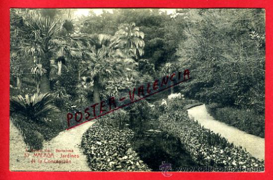 Postales: POSTAL MALAGA, JARDINES DE LA CONCEPCION,   P75420