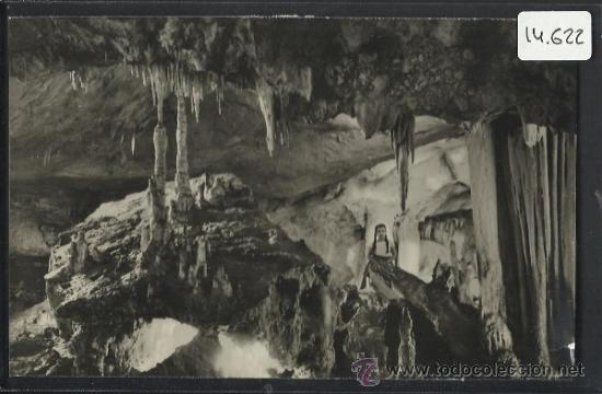 Postales: CUEVA DE NERJA - SALA COLMILLO DEL ELEFANTE - SOM CEREZO - (14.622)