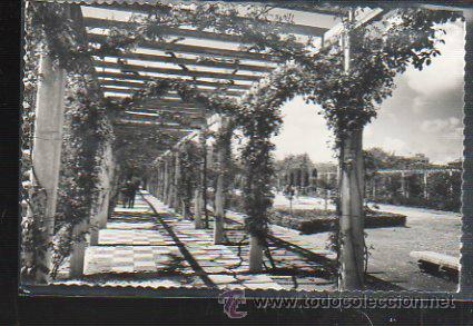 Postales: TARJETA POSTAL DE JAEN - VISTA PARQUE DE LA VICTORIA. 9. EDICIONES SICILIA