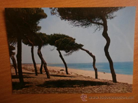 Postales: HUELVA. - Foto 1