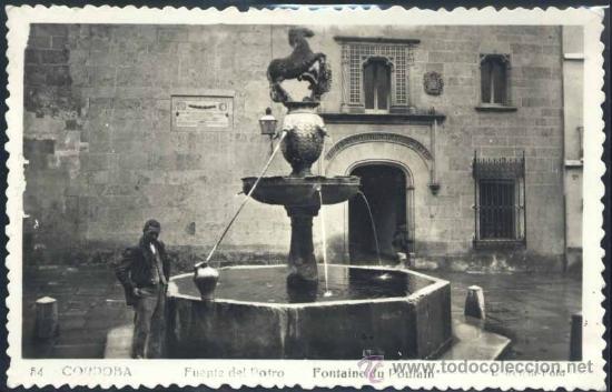 Postales: C&Oacute;RDOBA.- FUENTE DEL POTRO