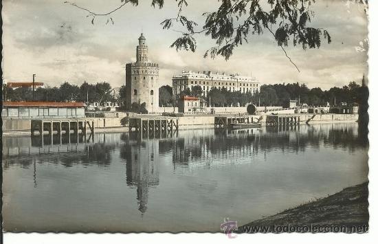 Postales: SEVILLA.-TORRE DEL ORO Y GUADALQUIVIR.-EDICIONES ARRIBAS N&ordm;85
