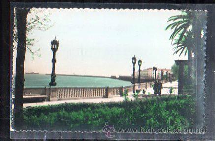 Cartoline: TARJETA POSTAL DE CADIZ - AVENIDA MARQUES DE COMILLAS. 22. EDICIONES SICILIA