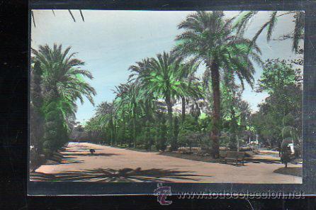 Postkarten: TARJETA POSTAL DE CADIZ - PARQUE GENOVES. PASEO CENTRAL. 41. GARCIA GARRABELLA