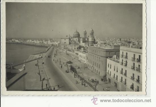 Postales: Postal Cadiz.sin circular.aVENIDA PRIMO DE RIVERA