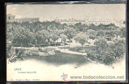 Cartoline: TARJETA POSTAL DE CADIZ - PARQUE GENOVES. 864. HAUSER Y MENET