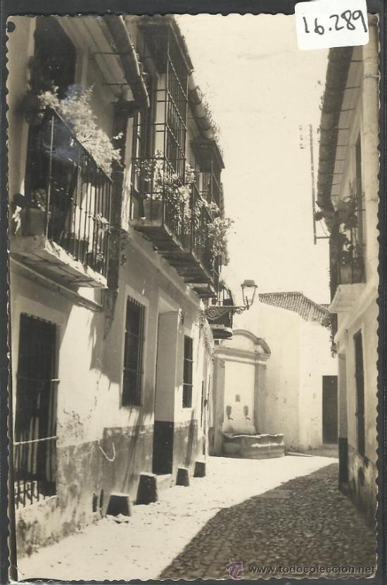 Postales: MALAGA - 214 - CALLE DE LOS CRISTOS - FOTOGRAFICA CDIEGO CORTES - (16.289)