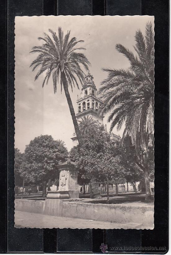 Postales: 20.- CORDOBA. MEZQUITA-CATEDRAL. PATIO DE LOS NARANJOS Y CAMPANARIO