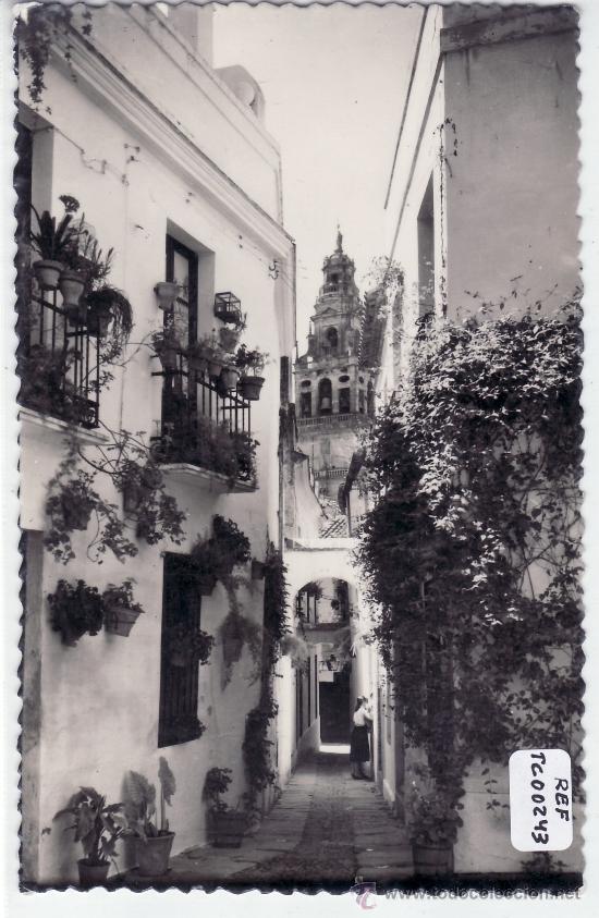 Cartoline: POSTAL CORDOBA . Calleja de las Flores