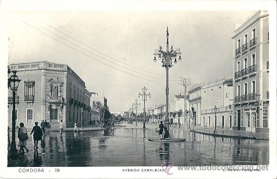 Postales: 4235 -C&Oacute;RDOBA- AVENIDA CANALEJAS- POSTAL FOTOGRAFICA ROISIN