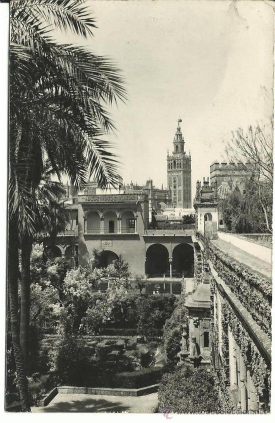 Postales: SEVILLA.- LA GIRALDA DESDE LOS REALES  ALCAZARES N&ordm; 24 .-FOTO RADA