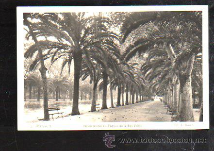Cartoline: TARJETA POSTAL DE MALAGA - PASEO LATERAL DEL PARQUE DE LA REPUBLICA. 3. L.ROISIN