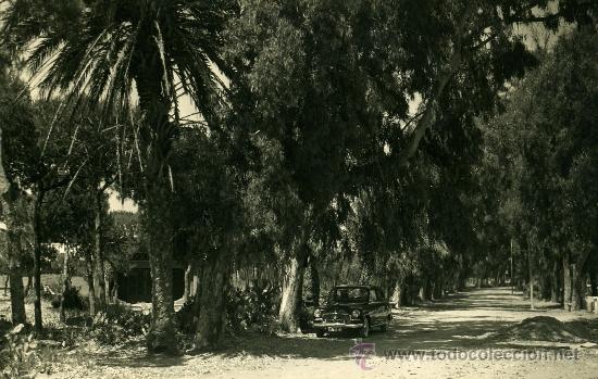 Postales: Isla Cristina. paseo de la playa
