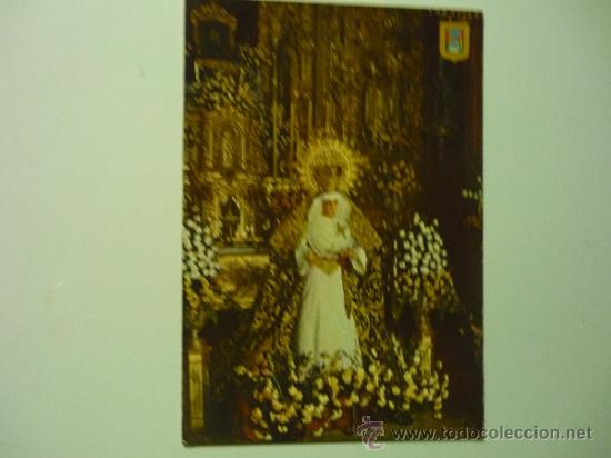Postales: POSTAL SEVILLA.-NTRA.SRA.ESPERANZA TRIANA